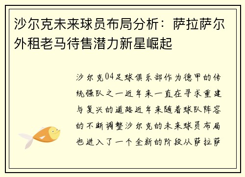 沙尔克未来球员布局分析：萨拉萨尔外租老马待售潜力新星崛起
